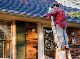 Roof Maintenance