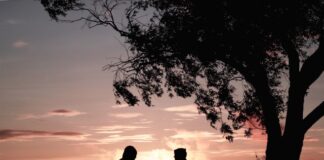 silhouette of two person sitting on chair near tree