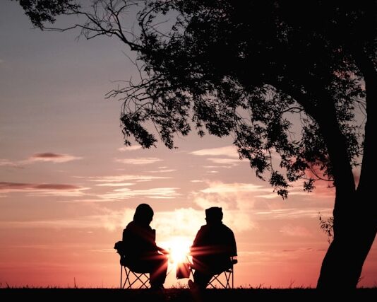 silhouette of two person sitting on chair near tree