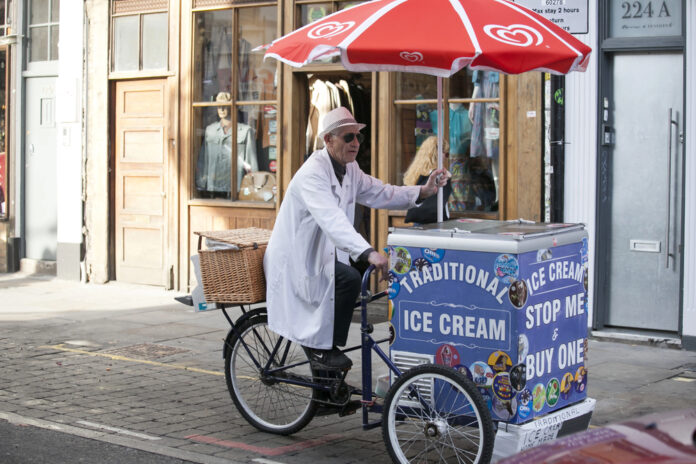 Push Freezer Carts