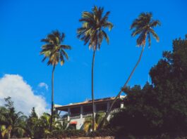Building in Pacific Palisades