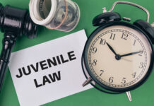 Defence Lawyer in Youth Criminal Justice