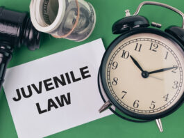 Defence Lawyer in Youth Criminal Justice