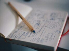 SaaS Success with Smart Customer Segmentation