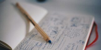 SaaS Success with Smart Customer Segmentation