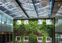Green Roofs for Home Businesses