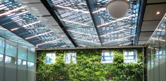 Green Roofs for Home Businesses