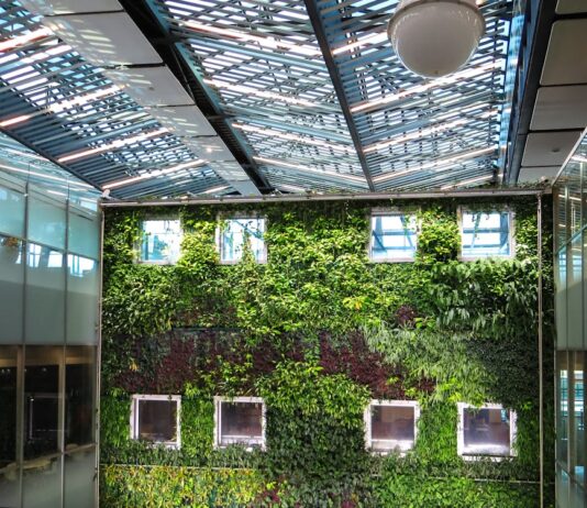 Green Roofs for Home Businesses