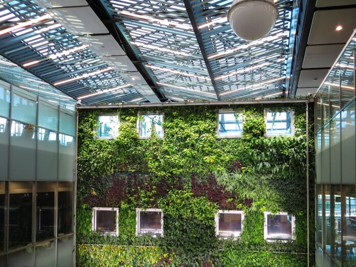 pexels-photo-1188834 Green Roofs for Home Businesses