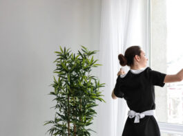 Domestic Helper in Singapore