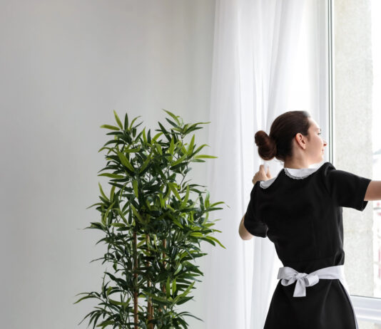 Domestic Helper in Singapore