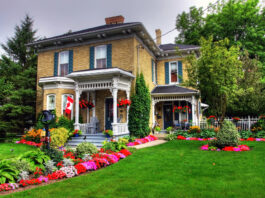 Home Mistakes That Are Costing You Money