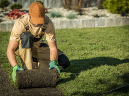 Services-Landscaping