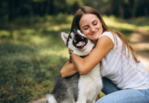 Business Ideas for Animal Lovers