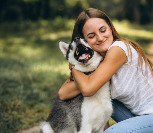 Business Ideas for Animal Lovers