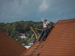 Roofing Maintenance Tips for Small Business Owners