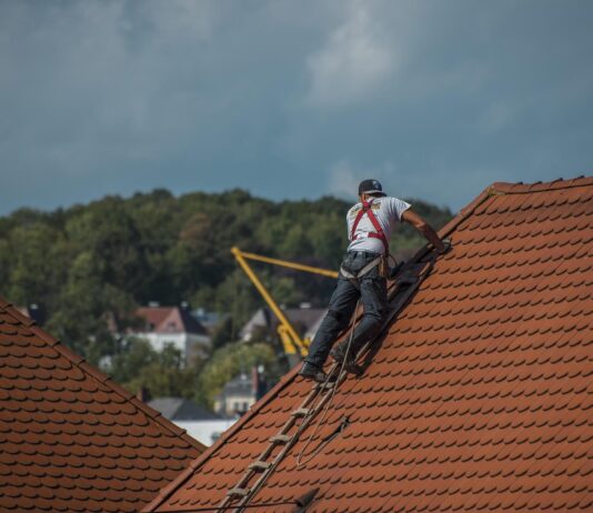 Roofing Maintenance Tips for Small Business Owners