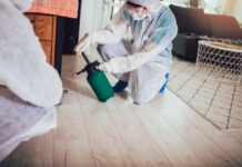 Pest Control That’s Tough on Bugs