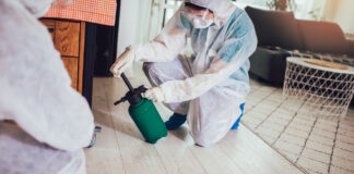 Pest Control That’s Tough on Bugs