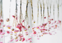 Art of Preserving Flowers