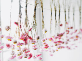 Art of Preserving Flowers