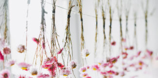 Art of Preserving Flowers
