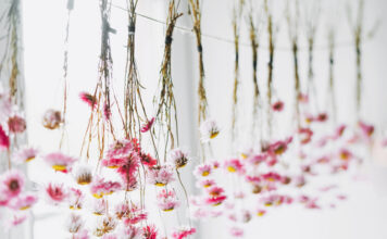 Art of Preserving Flowers