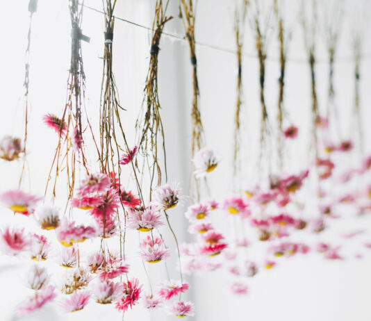 Art of Preserving Flowers
