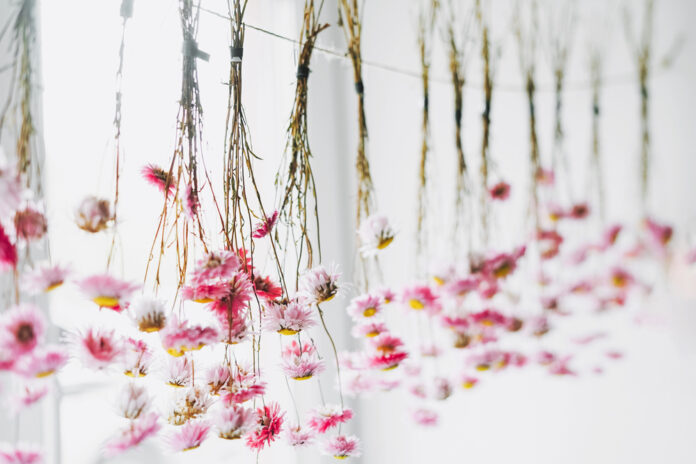 Art of Preserving Flowers