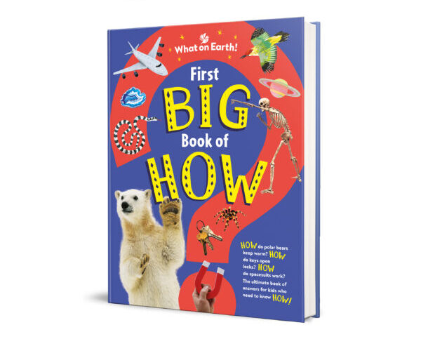 what on earth books the big book of how