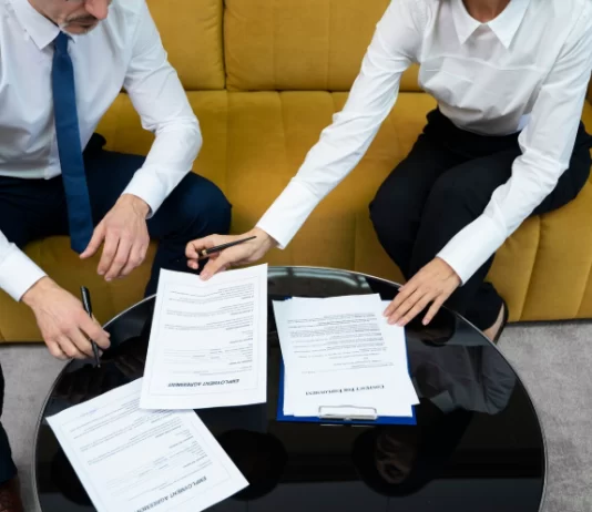 domestic-limited- liability-company