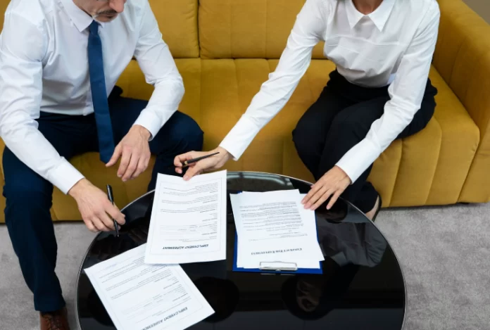 domestic-limited- liability-company