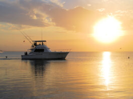 Boat Storage Solutions for Owners
