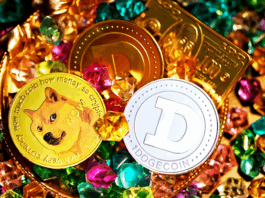 Evaluating Meme Token Investments