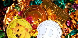 Evaluating Meme Token Investments