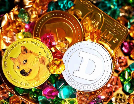 Evaluating Meme Token Investments