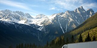 career as a freight agent