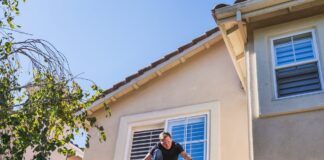Money Can Solar Panels Save