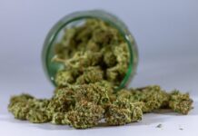 Proper Storage Extends Cannabis Flower Potency
