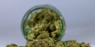 Proper Storage Extends Cannabis Flower Potency