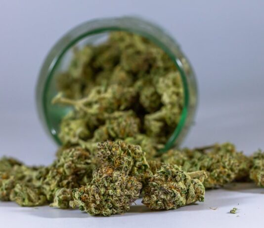 Proper Storage Extends Cannabis Flower Potency