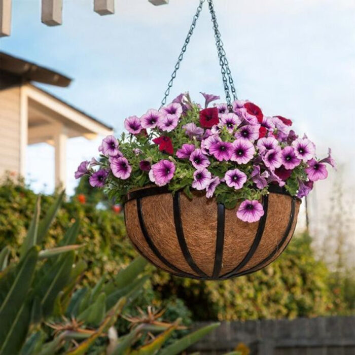 WindowBox Large English Garden Hanging Baskets