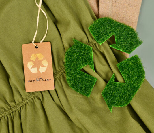 Sustainable Development in the Fashion Industry