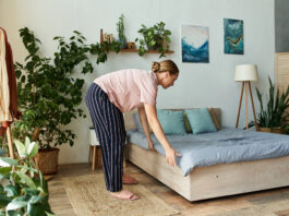 Professional Cleaners