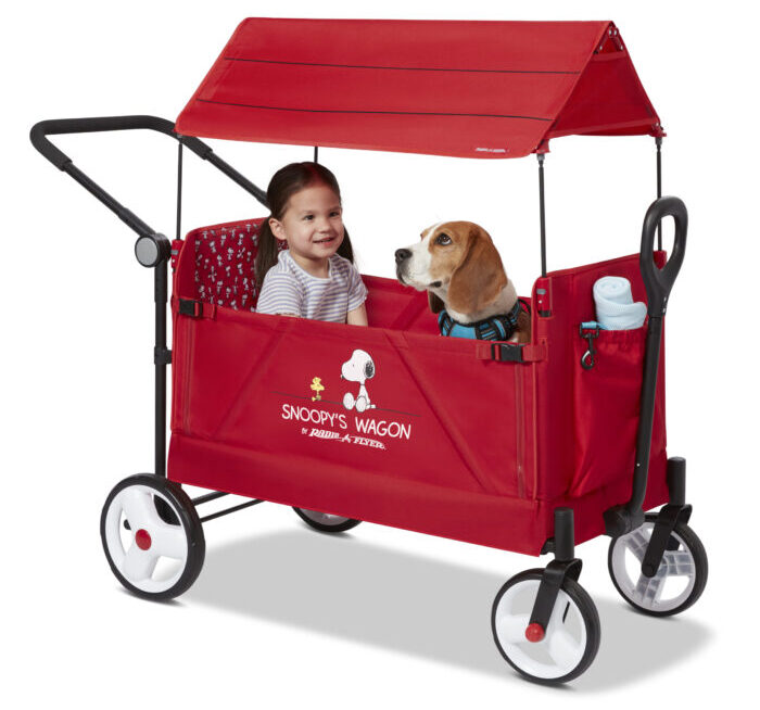 Radioflyer Wagon - Guide for Kids