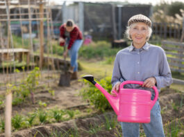 Calculate your German pension refund
