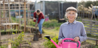 Calculate your German pension refund