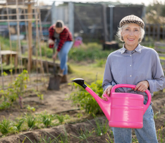 Calculate your German pension refund