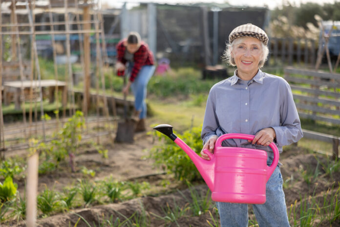 dreamstime_s_409665093 Calculate your German pension refund