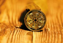 The Challenges a Beginner Trader Faces When Investing in Cardano Challenges in Investing in Cardano